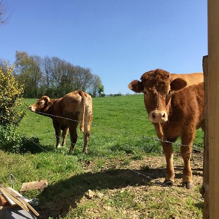 Vakantiewoning Kleijnen Noorbeek Zewnętrze zdjęcie