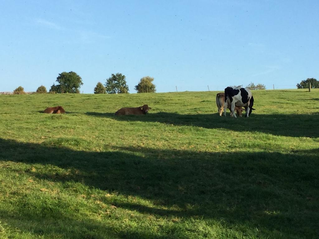 Vakantiewoning Kleijnen Noorbeek Zewnętrze zdjęcie