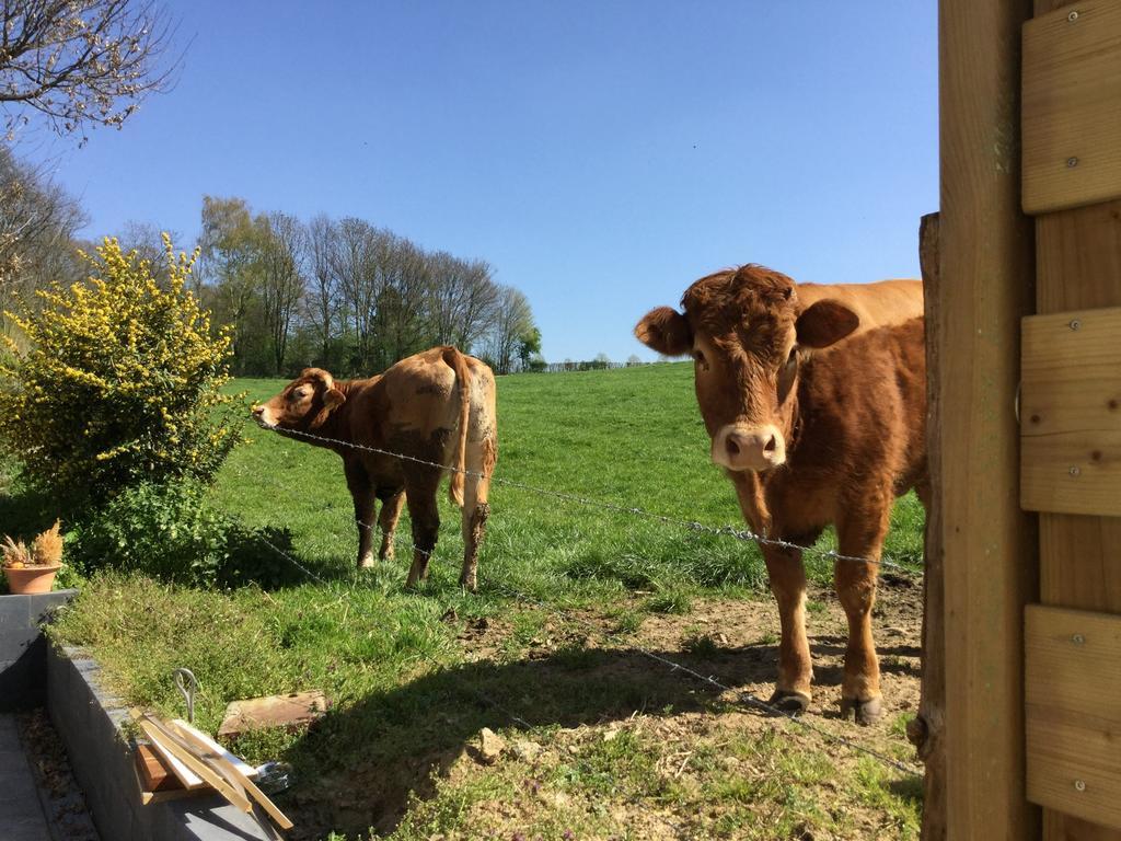 Vakantiewoning Kleijnen Noorbeek Zewnętrze zdjęcie